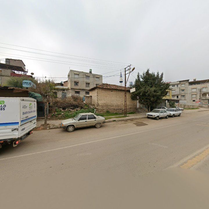 Fotoğraf 3