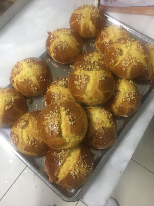 Fotoğraf 14