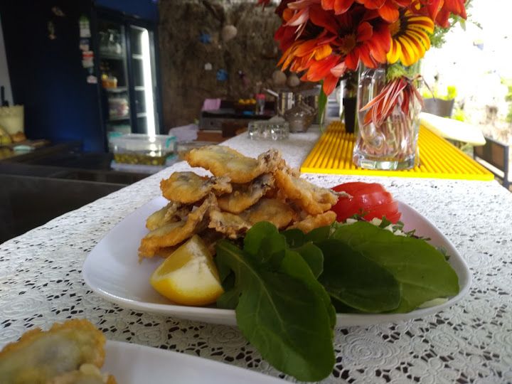 Fotoğraf 17
