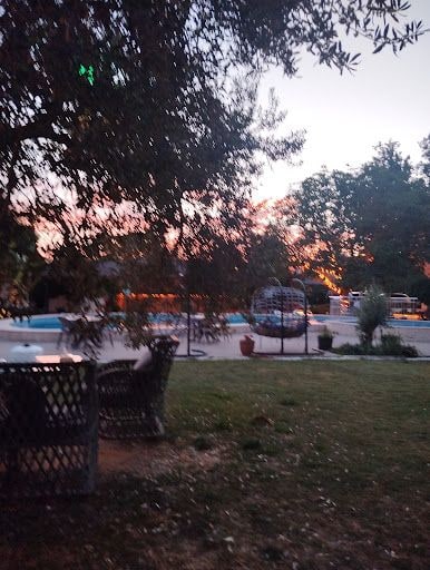 Fotoğraf 29