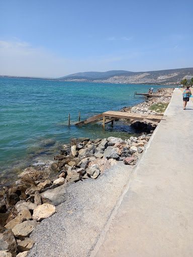 Fotoğraf 41