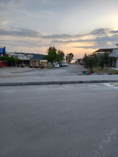 Fotoğraf 50