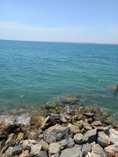 Fotoğraf 43