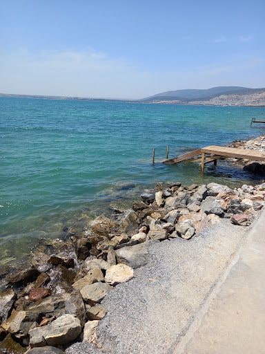 Fotoğraf 44