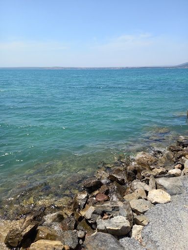 Fotoğraf 45