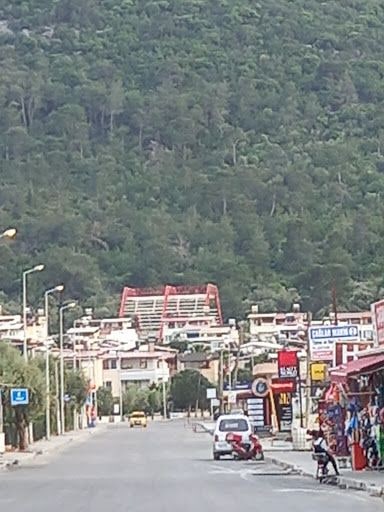 Fotoğraf 46