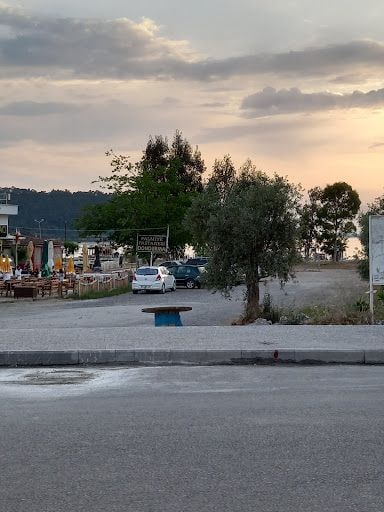 Fotoğraf 49