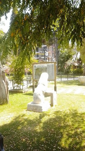 Fotoğraf 13