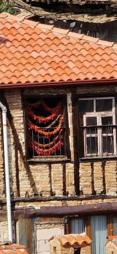 Fotoğraf 13