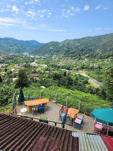 Fotoğraf 49