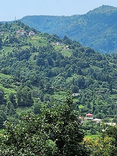 Fotoğraf 52