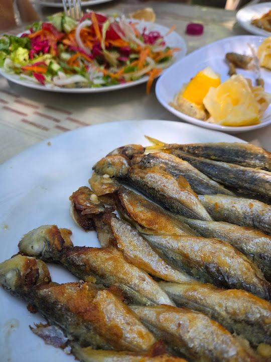 Fotoğraf 28