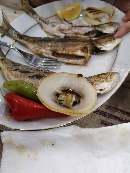 Fotoğraf 36