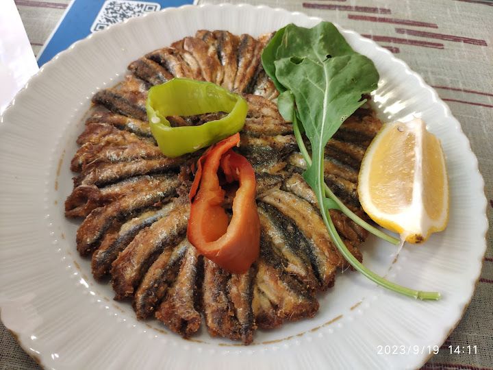 Fotoğraf 31