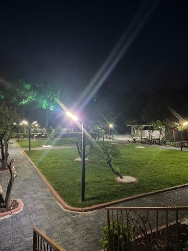 Fotoğraf 42