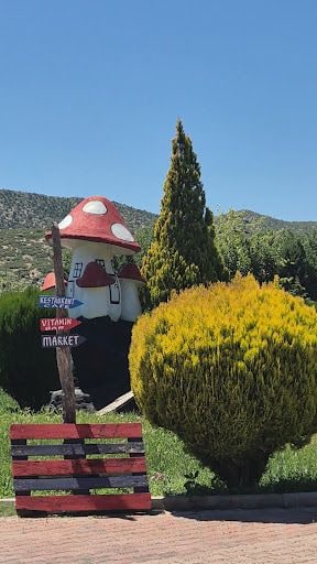 Yorum fotoğrafı 7