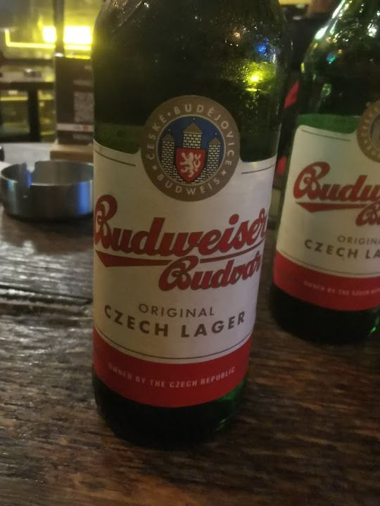 Fotoğraf 41