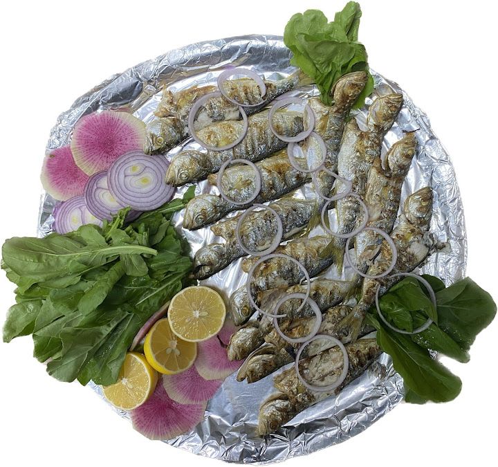 Fotoğraf 32