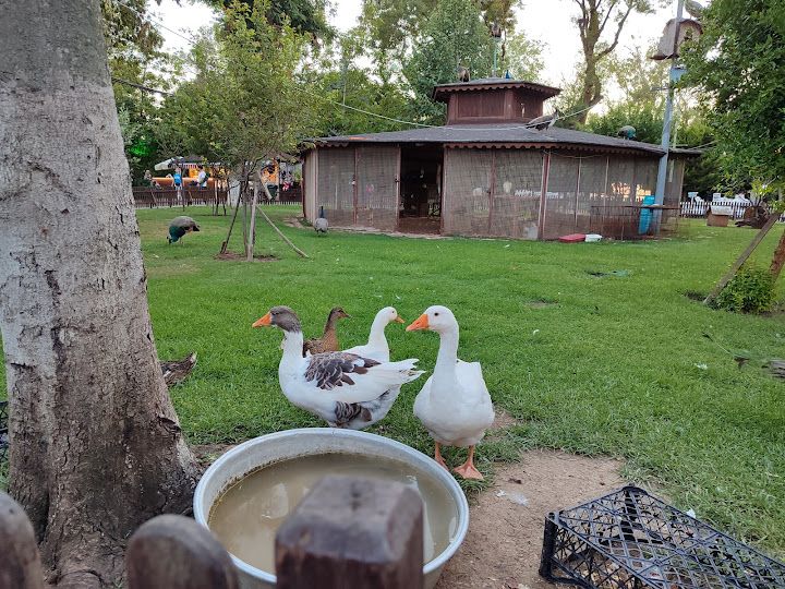 Fotoğraf 30