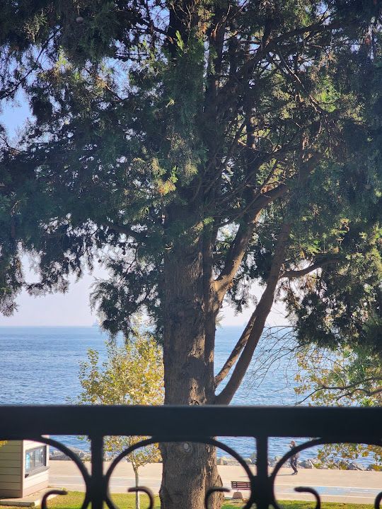 Fotoğraf 15