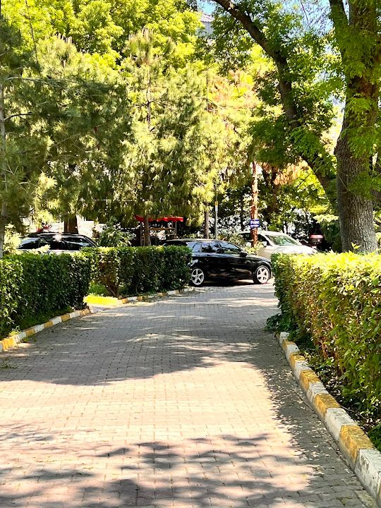 Fotoğraf 16