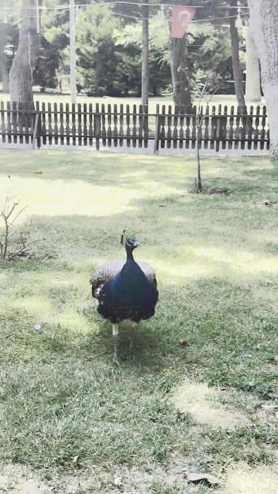 Fotoğraf 21