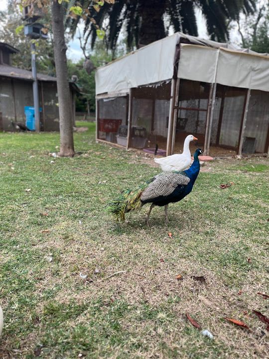 Fotoğraf 26