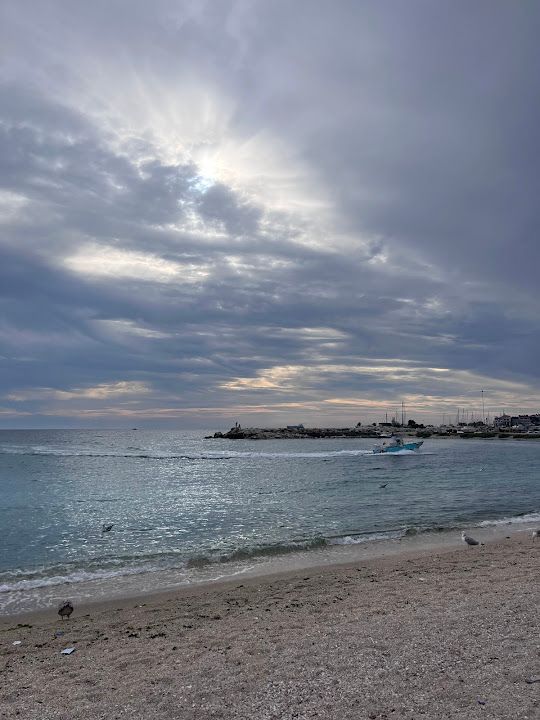 Fotoğraf 27