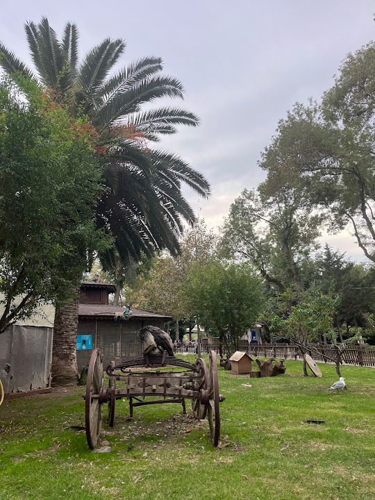 Fotoğraf 24