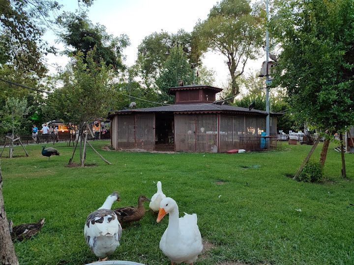 Fotoğraf 29