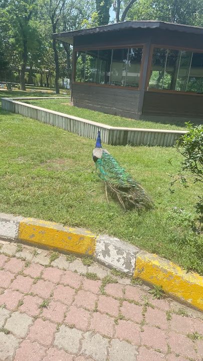 Fotoğraf 22