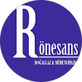 Rönesans Doğalgaz