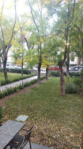 Yorum fotoğrafı 6