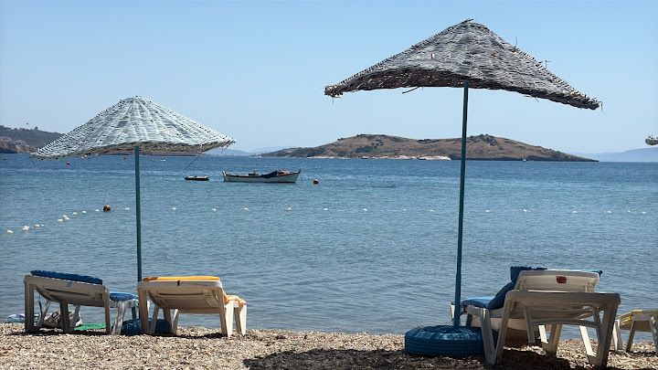 Fotoğraf 14