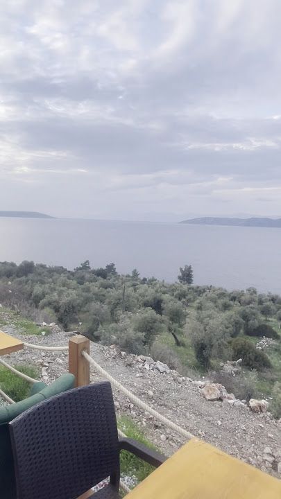 Fotoğraf 35