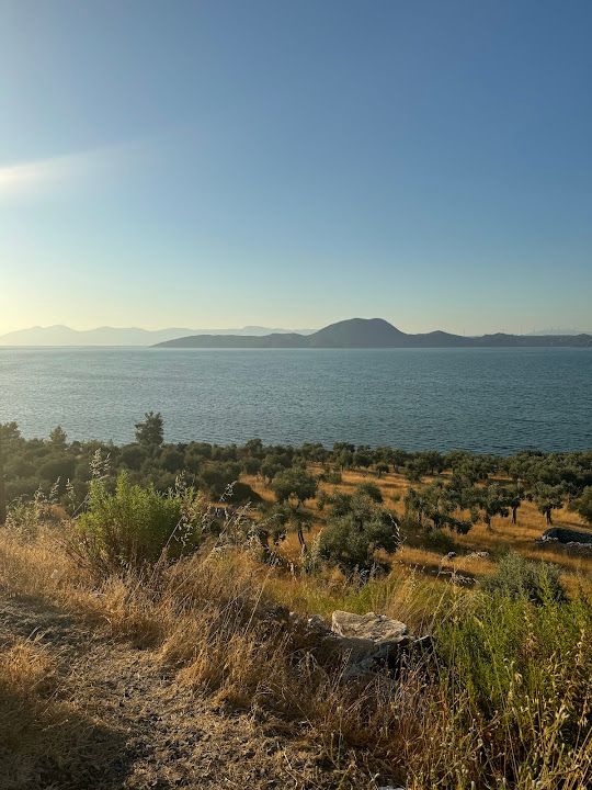 Fotoğraf 26