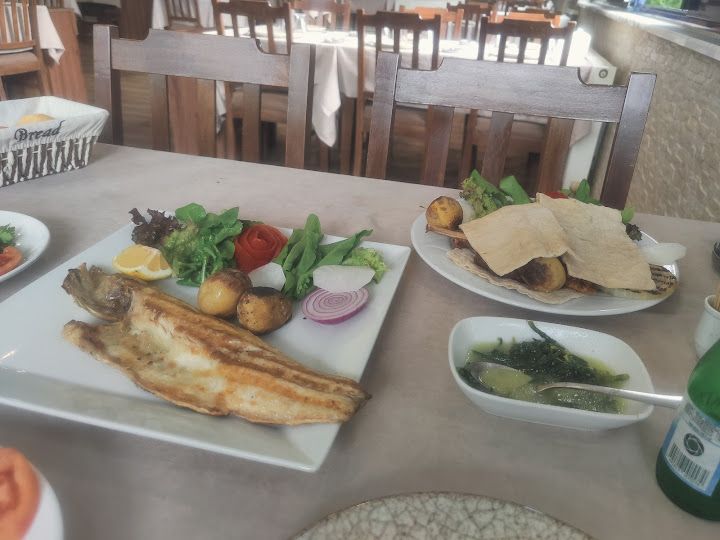 Fotoğraf 15