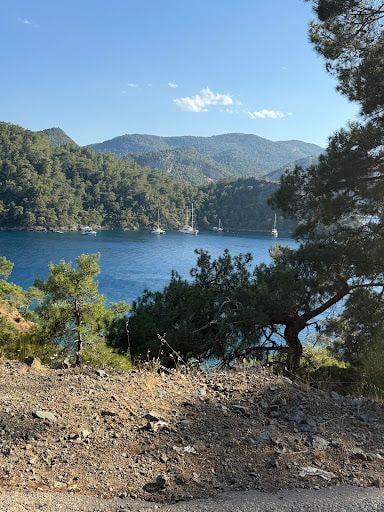 Yorum fotoğrafı 5