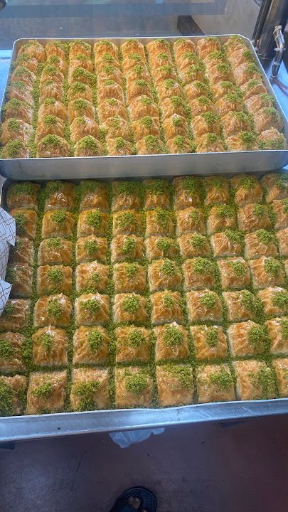 Fotoğraf 12