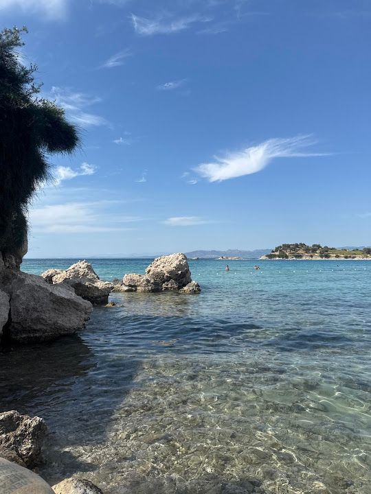 Fotoğraf 15