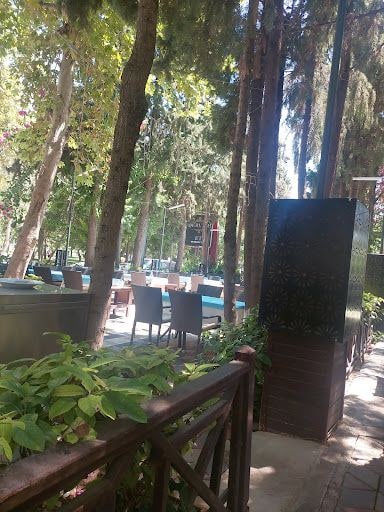 Fotoğraf 15