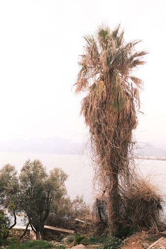 Yorum fotoğrafı 6