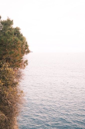 Yorum fotoğrafı 7