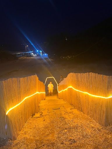 Yorum fotoğrafı 6