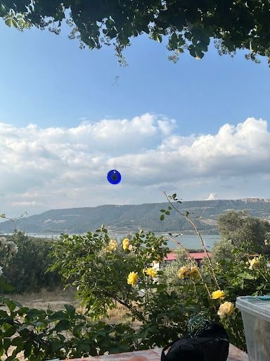 Fotoğraf 20