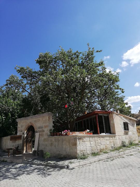 Yorum fotoğrafı 1
