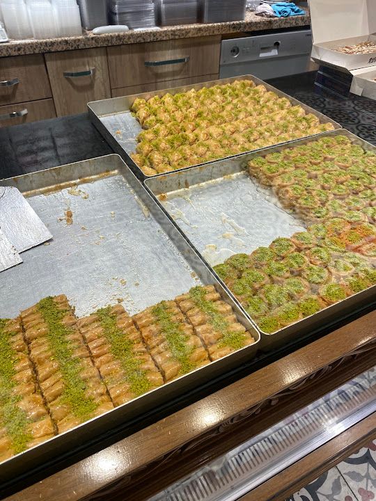 Fotoğraf 23
