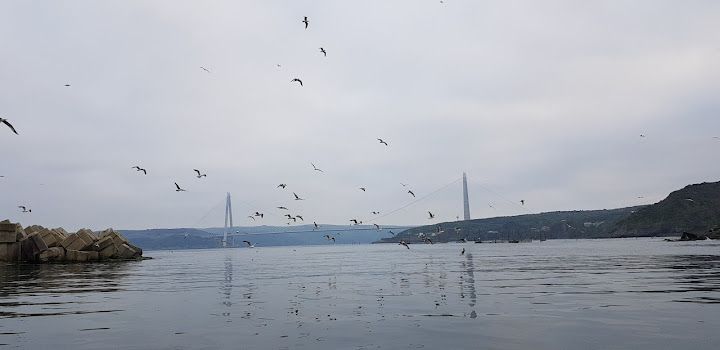 Yorum fotoğrafı 4