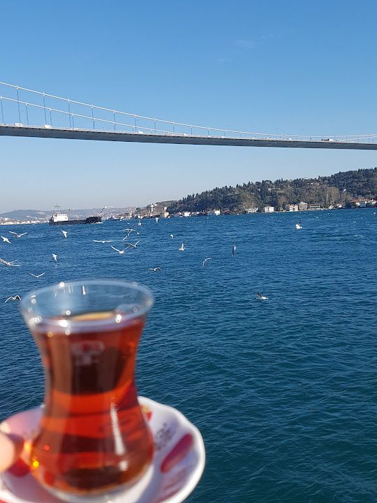 Fotoğraf 48