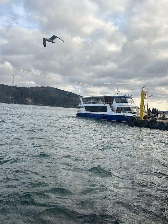 Yorum fotoğrafı 4